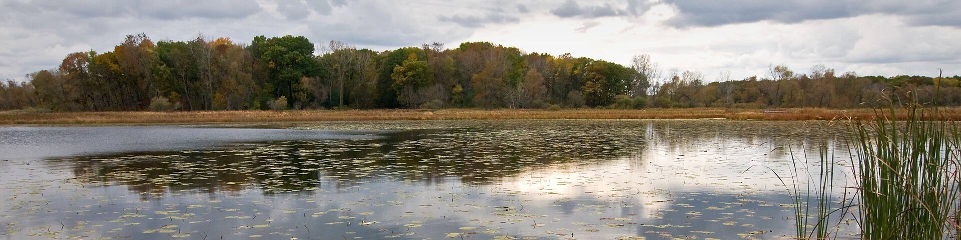 An overcast fall day on Lake Defiance, Moraine Hills State Park, McHenry, Illinois.