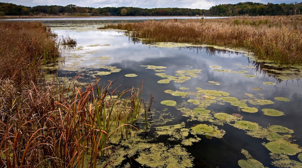 An overcast fall day on Lake Defiance, Moraine Hills State Park, McHenry, Illinois.