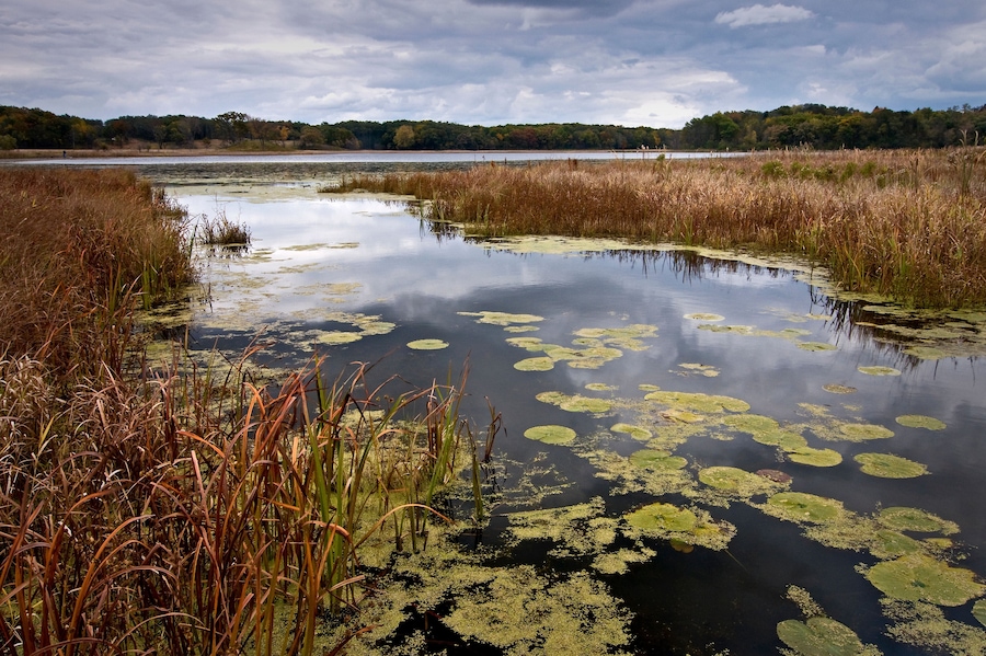 An overcast fall day on Lake Defiance, Moraine Hills State Park, McHenry, Illinois.