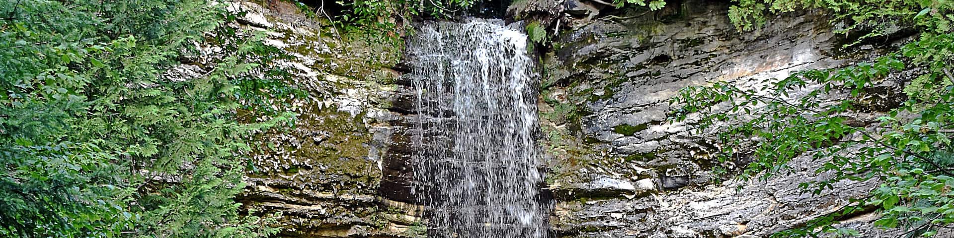 A waterfall cascading down a rocky cliff surrounded by lush greenery.