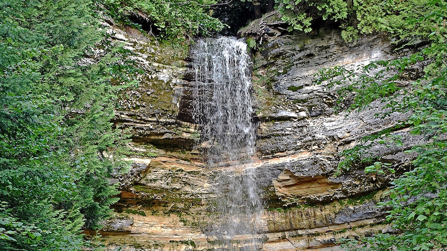 Munising Falls is a waterfall located in Munising in the westernmost portion of the Pictured Rocks National Lakeshore in Alger County. The falls drops about 50 feet over a sandstone cliff. With the exception of the spring thaw, the amount of water falling is relatively small. Wiki