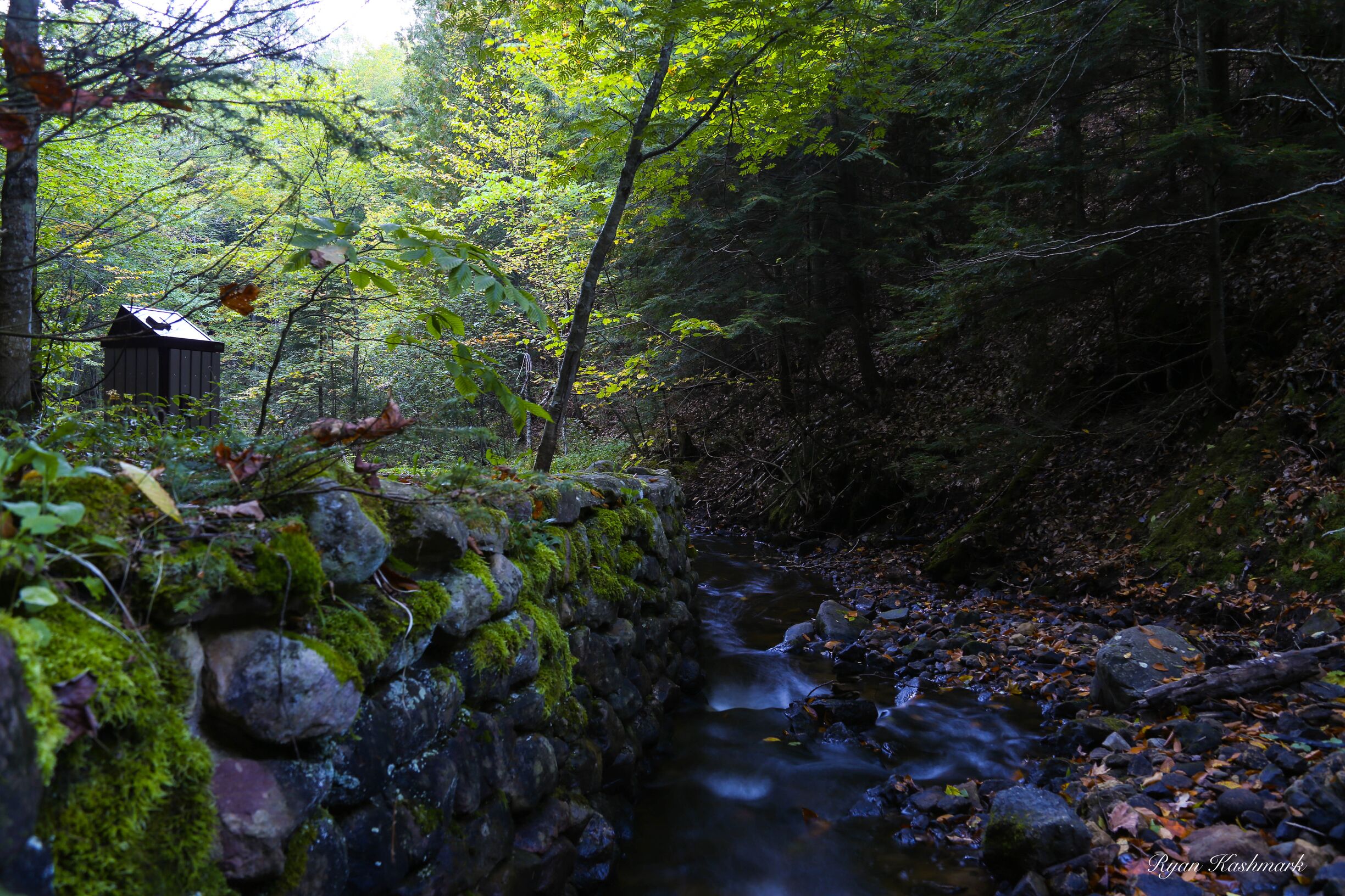 Had to get down on my stomach for this shot but worth it!