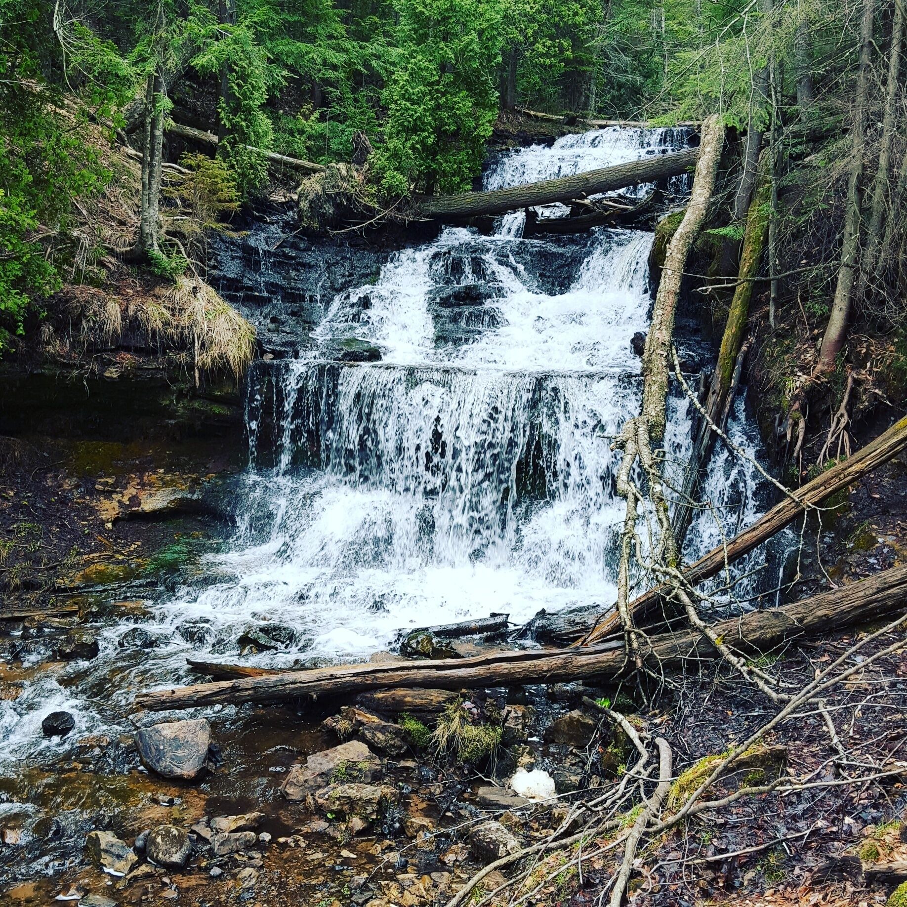 Wagner Falls! 
#michigan 
#waterfalls
#adventure