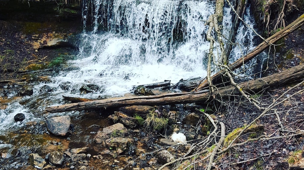 Wagner Falls!
#michigan
#waterfalls
#adventure