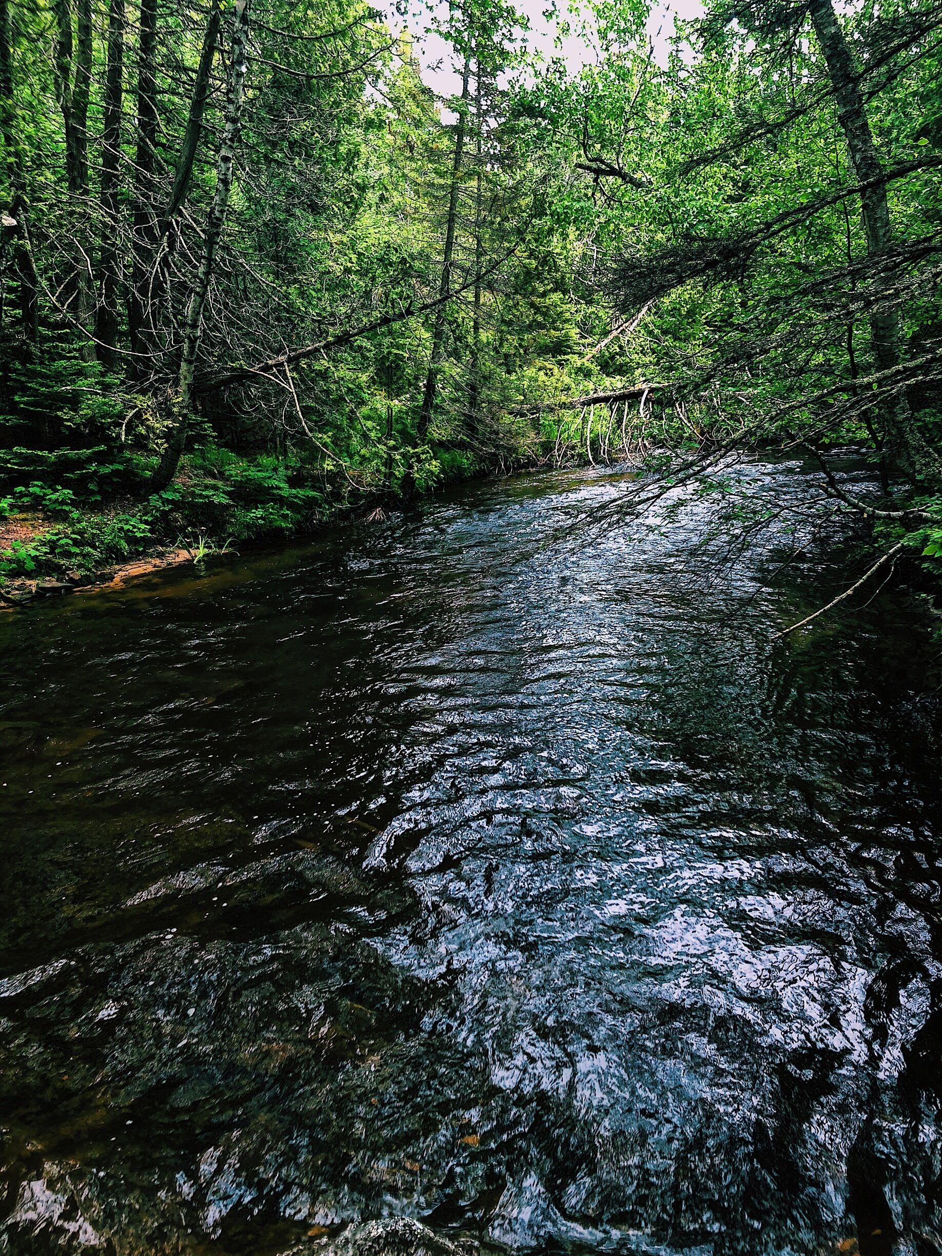 Trail on the way to see Munising Falls