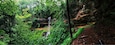 A lush forest with a waterfall cascading down a rocky cliff.