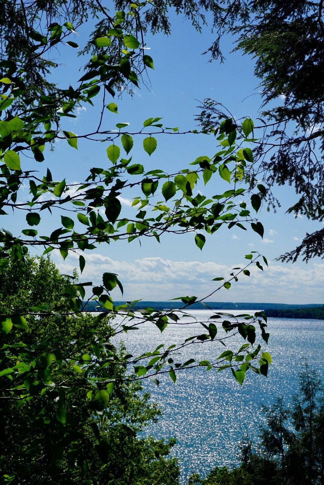 Near the Cliffs Backcountry Campground on The North Country Trail 

#wanderlust
#lakesuperior
#BVSBlue