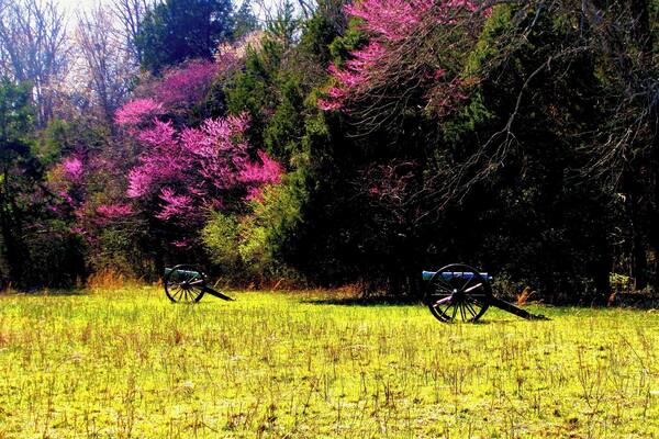 Stones River National Battlefield is such a cool place to visit. The forests are full of rocky alcoves, perfect for providing camo for advancing troops, yet very dangerous to traverse. It's amazing to think that the beautiful, peaceful fields were once the scene of bloody Civil War battles.
https://www.facebook.com/LifeRidingShotgun