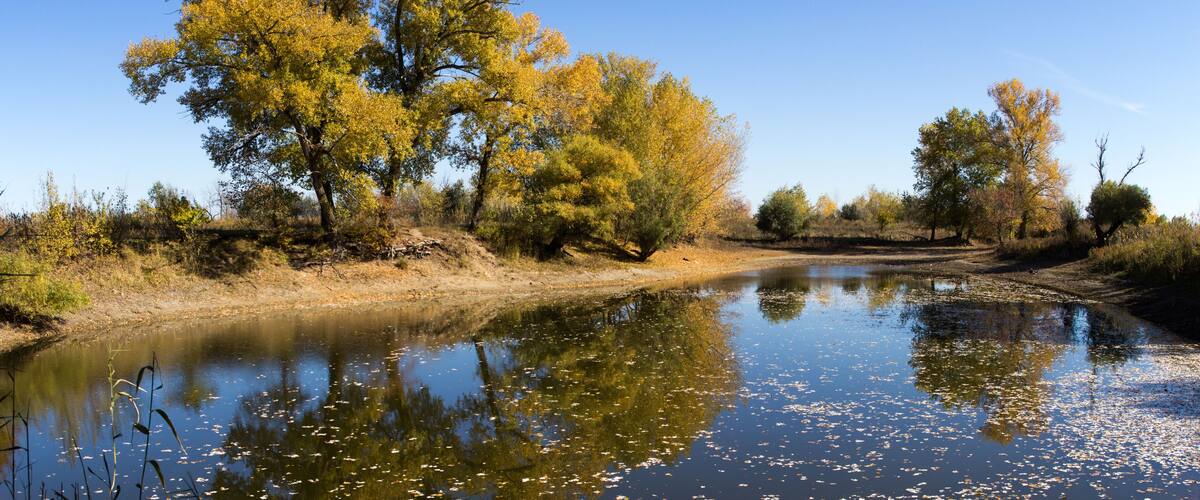 Autumn landscape with colorful forest. Solar amber paysage. Indian summer landscape. Colorful foliage over lake with beautiful woods in red and yellow color. Autumnal forest reflected in water.