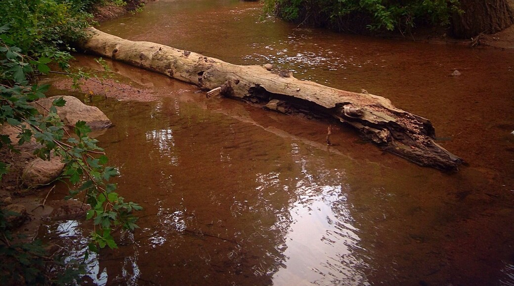 Nice little resting spot to cool off on a hot day of #hiking