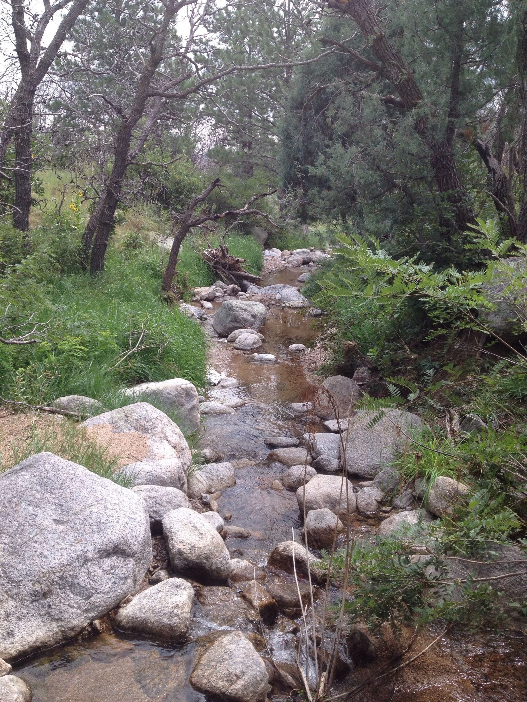 Nice park with some good trails 