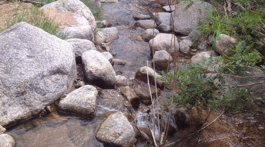 Nice park with some good trails