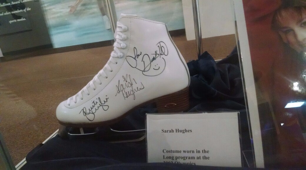 A must-see destination for any aspiring ice skaters!