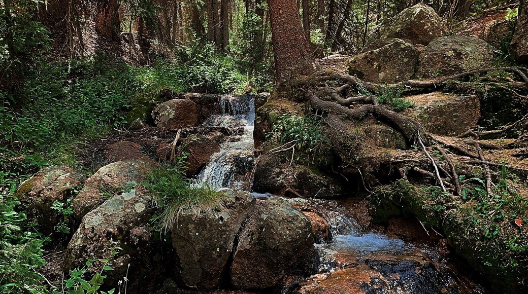 On the road to the pancake rocks is a delightful set of waterfalls. Takes a lil scrambling over rocks, but every tier is something different. #adventure #outdoors #usa