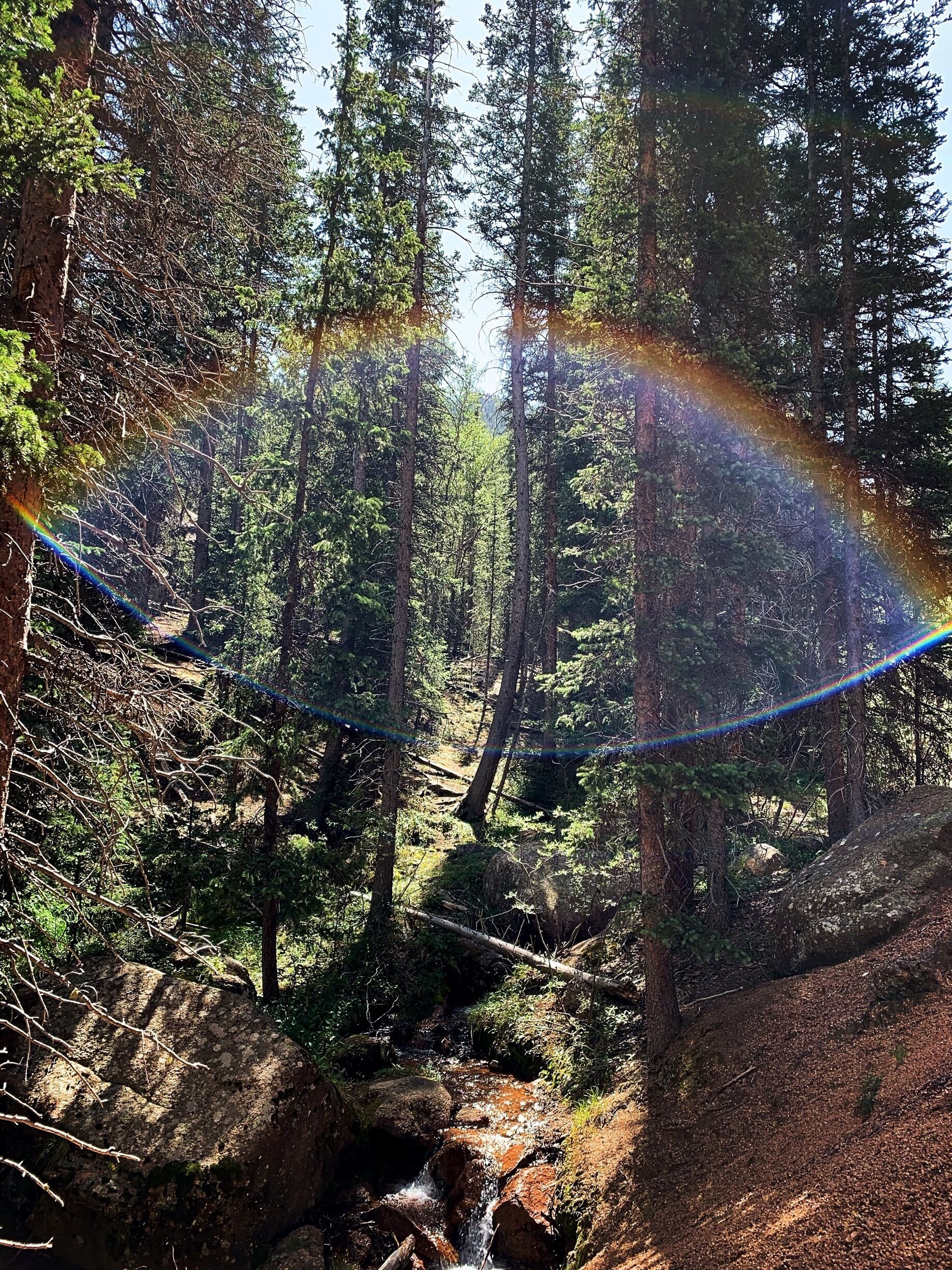 Beautiful trail that leads to a waterfall. Catch the light just right. #adventure