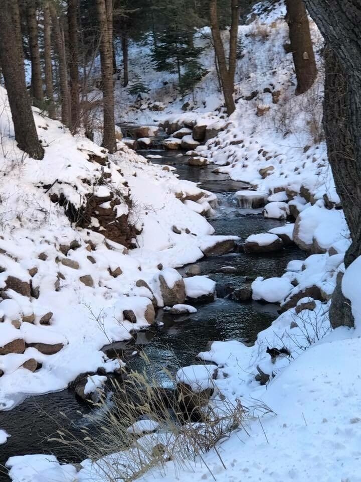 Un arroyo cubierto de nieve en un bosque con rocas y árboles.