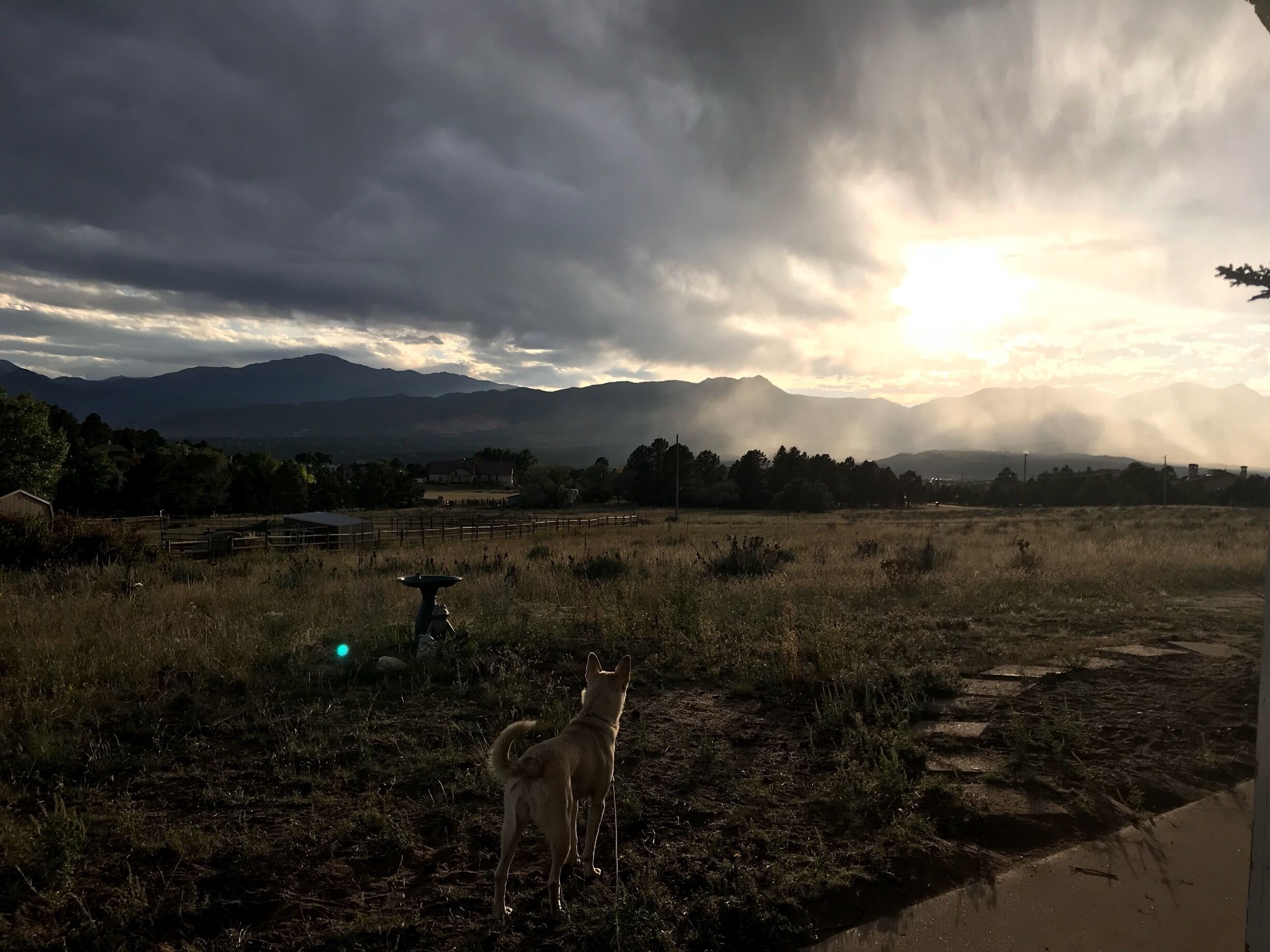 Sweet view of Pikes Peak from all over Colorado Springs