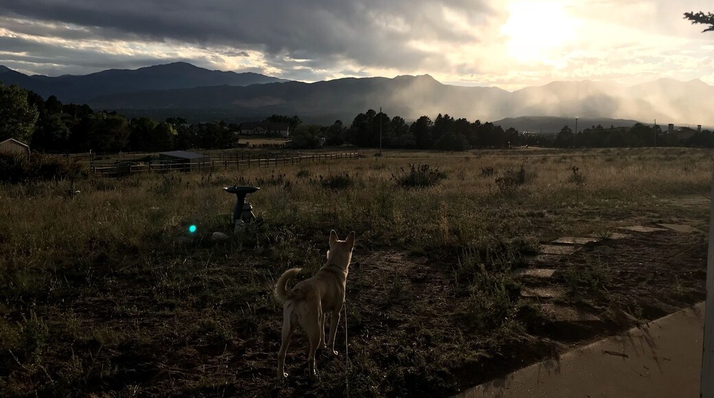 Sweet view of Pikes Peak from all over Colorado Springs
