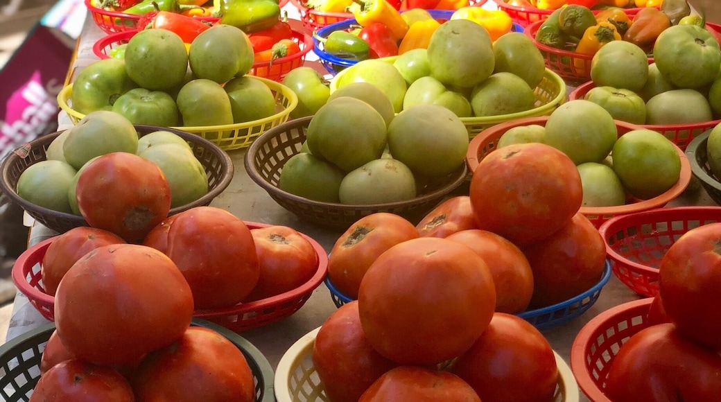 This Farmers Market was small, but the produce made up for it! Every individual present was kind and friendly.