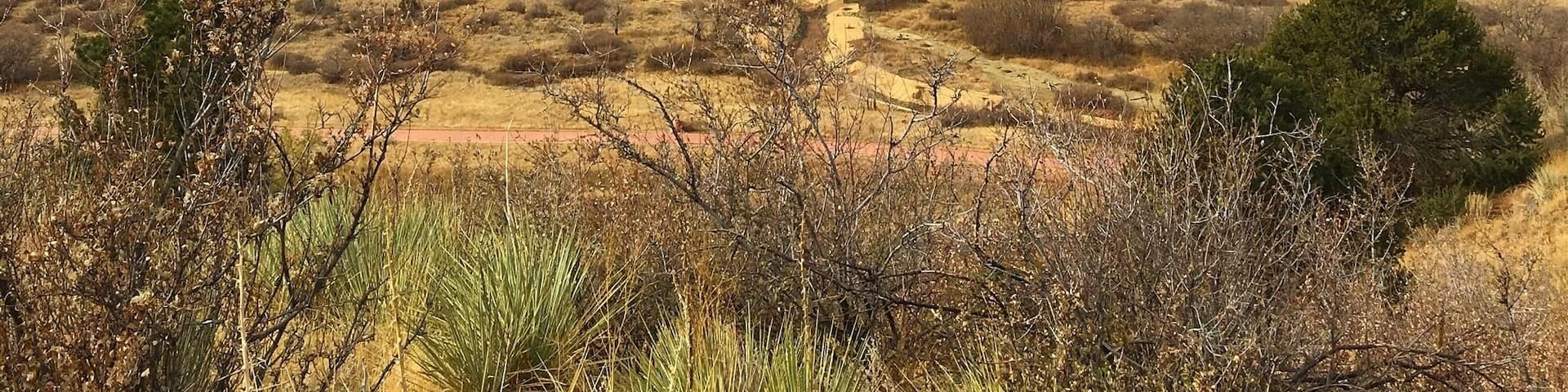 Perfect place to take photos of the Kissing Camels at The Garden of the Gods in #ColoradoSprings.