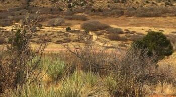 Perfect place to take photos of the Kissing Camels at The Garden of the Gods in #ColoradoSprings.