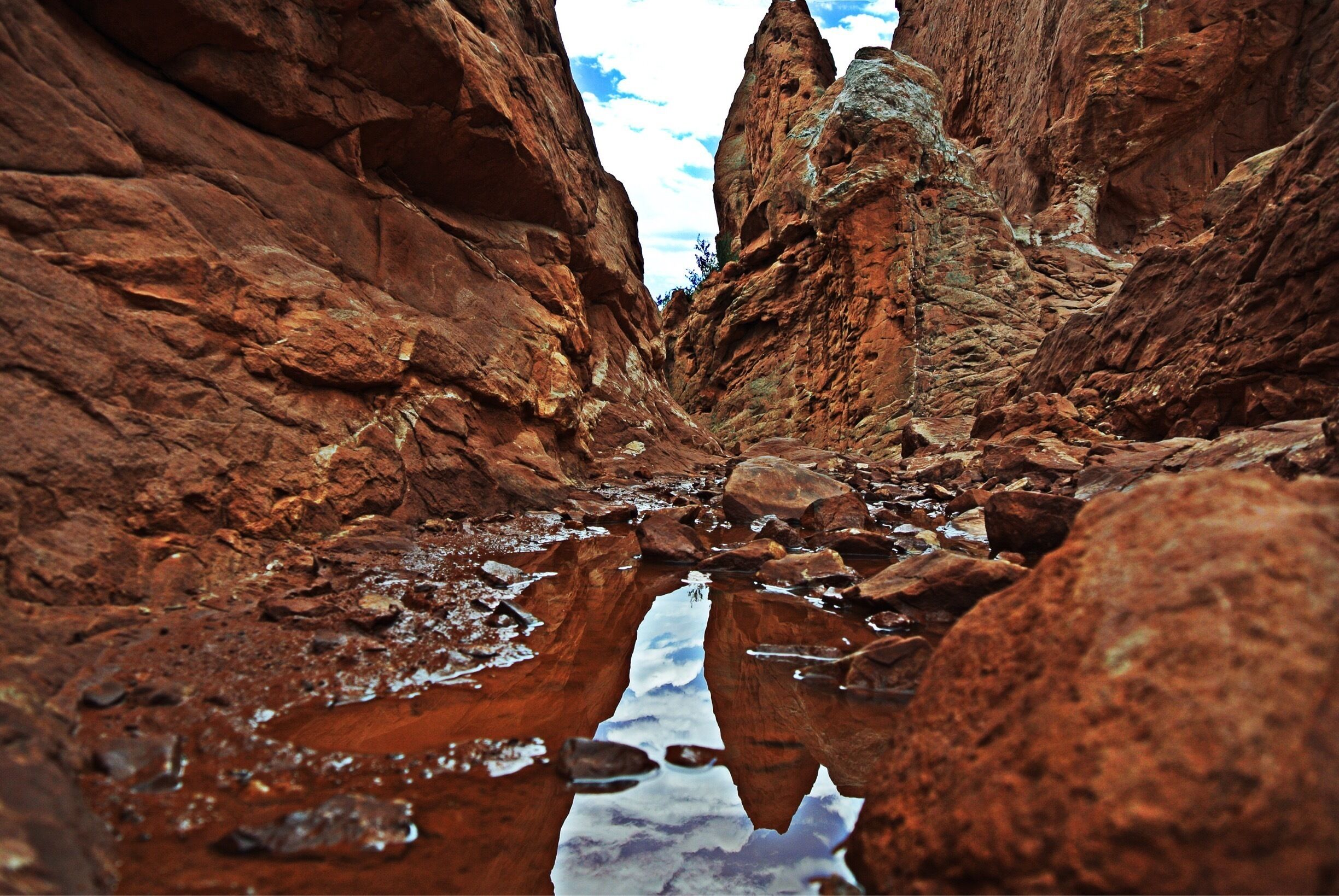 Beauty between the swirling red peaks