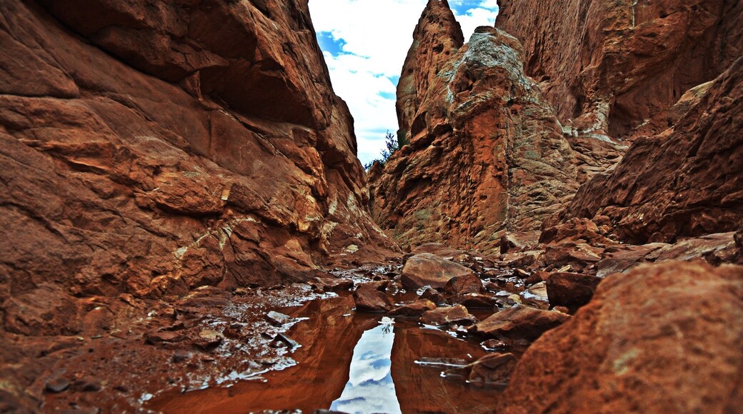 Beauty between the swirling red peaks