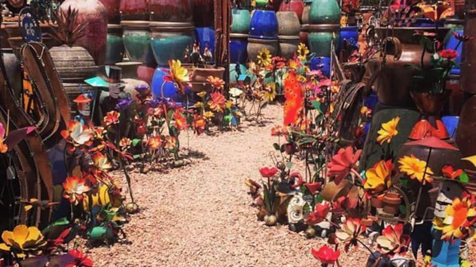 All the stuff here for a #garden was amazeballs #awesome !! Yay #metal #flowers & stuff!! #coloradosprings #colorado