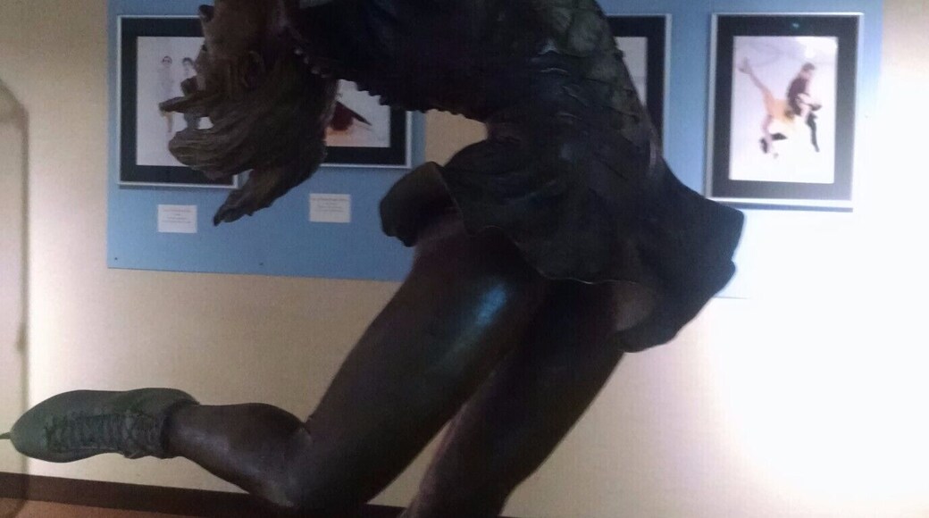 A must-see destination for any aspiring ice skaters!