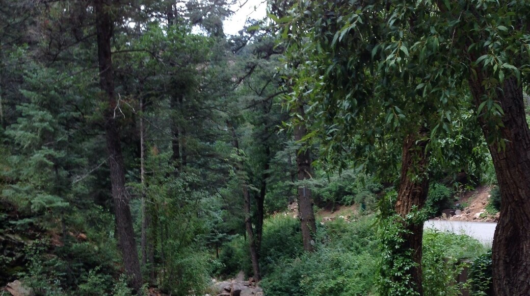 This one of the fall leading up to seven falls. Why it is called seven falls is because the last fall has seven falls in one. It was a fun adventure. There was lots of stairs though so if you get tired a lot don't do it.