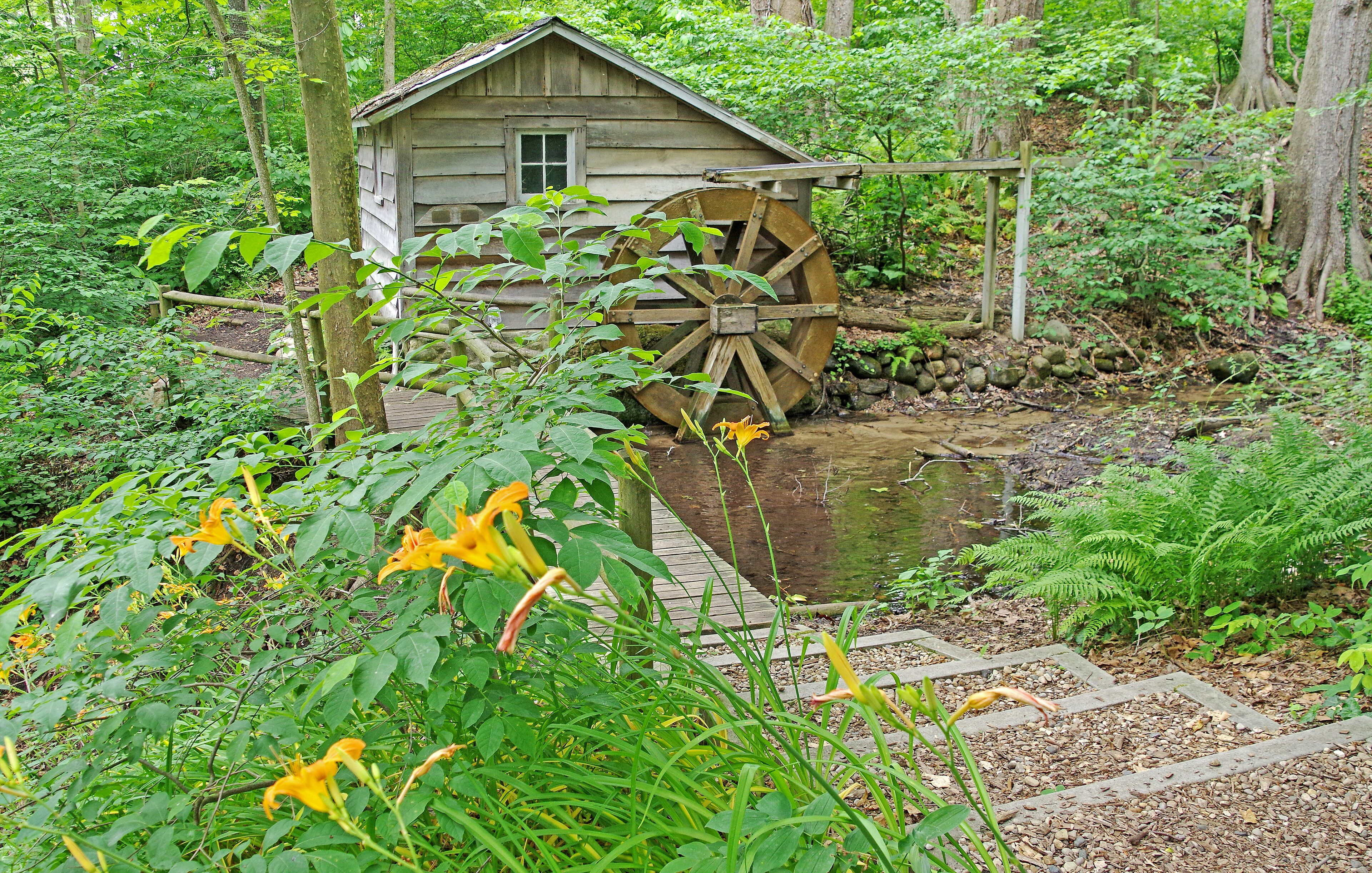 The Garden is located on the St. Joseph River and contains landscape gardens (8 acres), woodland nature preserve (50 acres), an arboretum of trees and shrubs from temperate regions around the world (40 acres, started in 1971), and restored tallgrass prairie (5 acres, started in 1976), as well as a conservatory (greenhouse) featuring more than 100 kinds of tropical ferns.

The landscape gardens include a Japanese "dry" garden designed by Ben Oki (1979), a hosta garden with dawn redwood and Ginkgo, a tufa rock garden started in the 1950s, a fern garden with more than 50 types of hardy ferns, a boxwood garden, a lilac garden (1940s), a lily pond (1977), and an herb garden featuring over 200 types of herbs.

The nature center displays exhibits about the ecosystems and animals of Fernwood and items of seasonal interest, as well as live animals including an active beehive and local reptiles and amphibians. Environmental education programs are offered year round.