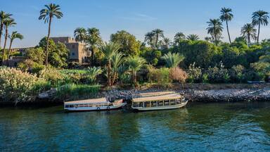 Boats moored along lush Nile riverbank with palm trees