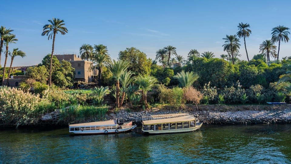 Two boats on a calm river, surrounded by lush greenery and palm trees.