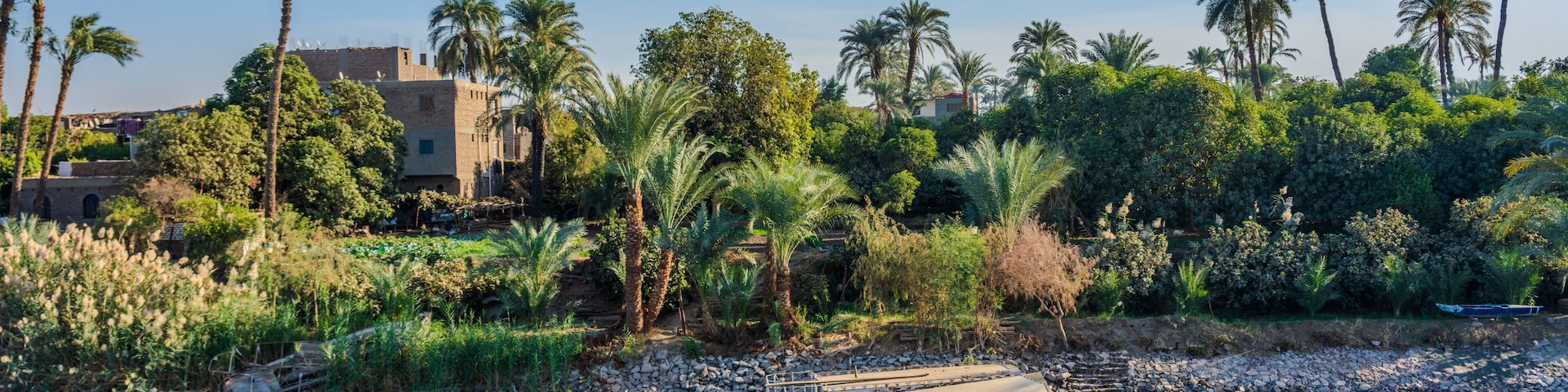 Boats moored along lush Nile riverbank with palm trees