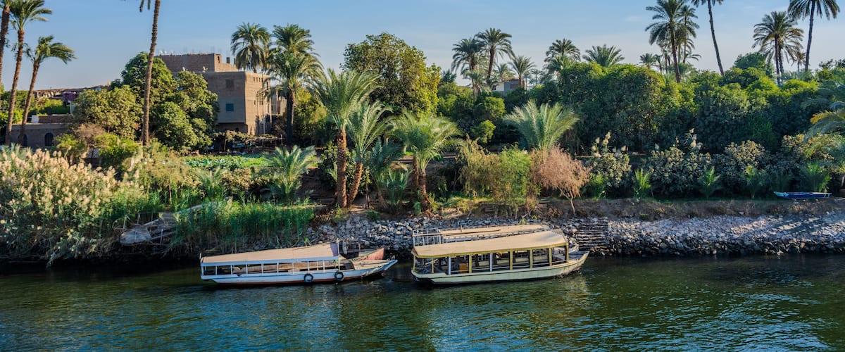 Two boats on a calm river, surrounded by lush greenery and palm trees.