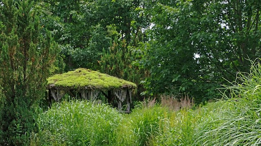 The Garden is located on the St. Joseph River and contains landscape gardens (8 acres), woodland nature preserve (50 acres), an arboretum of trees and shrubs from temperate regions around the world (40 acres, started in 1971), and restored tallgrass prairie (5 acres, started in 1976), as well as a conservatory (greenhouse) featuring more than 100 kinds of tropical ferns.
The landscape gardens include a Japanese "dry" garden designed by Ben Oki (1979), a hosta garden with dawn redwood and Ginkgo, a tufa rock garden started in the 1950s, a fern garden with more than 50 types of hardy ferns, a boxwood garden, a lilac garden (1940s), a lily pond (1977), and an herb garden featuring over 200 types of herbs.
The nature center displays exhibits about the ecosystems and animals of Fernwood and items of seasonal interest, as well as live animals including an active beehive and local reptiles and amphibians. Environmental education programs are offered year round.