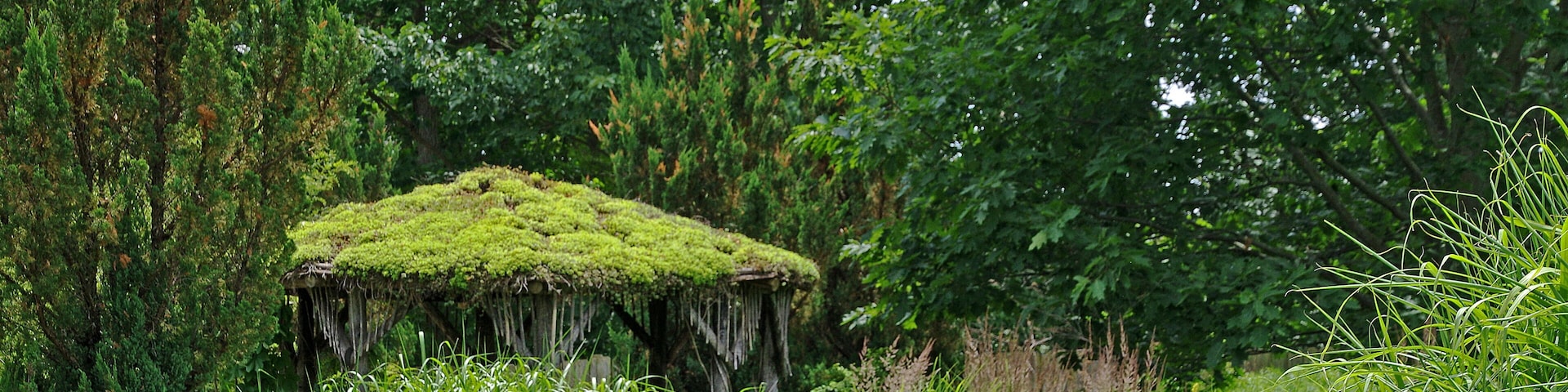 The Garden is located on the St. Joseph River and contains landscape gardens (8 acres), woodland nature preserve (50 acres), an arboretum of trees and shrubs from temperate regions around the world (40 acres, started in 1971), and restored tallgrass prairie (5 acres, started in 1976), as well as a conservatory (greenhouse) featuring more than 100 kinds of tropical ferns.
The landscape gardens include a Japanese "dry" garden designed by Ben Oki (1979), a hosta garden with dawn redwood and Ginkgo, a tufa rock garden started in the 1950s, a fern garden with more than 50 types of hardy ferns, a boxwood garden, a lilac garden (1940s), a lily pond (1977), and an herb garden featuring over 200 types of herbs.
The nature center displays exhibits about the ecosystems and animals of Fernwood and items of seasonal interest, as well as live animals including an active beehive and local reptiles and amphibians. Environmental education programs are offered year round.