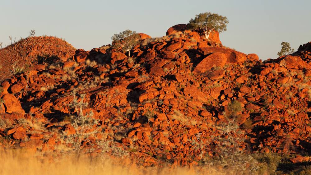 A rugged red rock landscape with sparse vegetation and a clear sky.