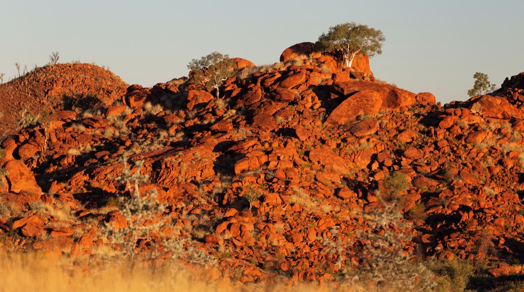The #golden colours of the Australian desert at sunset