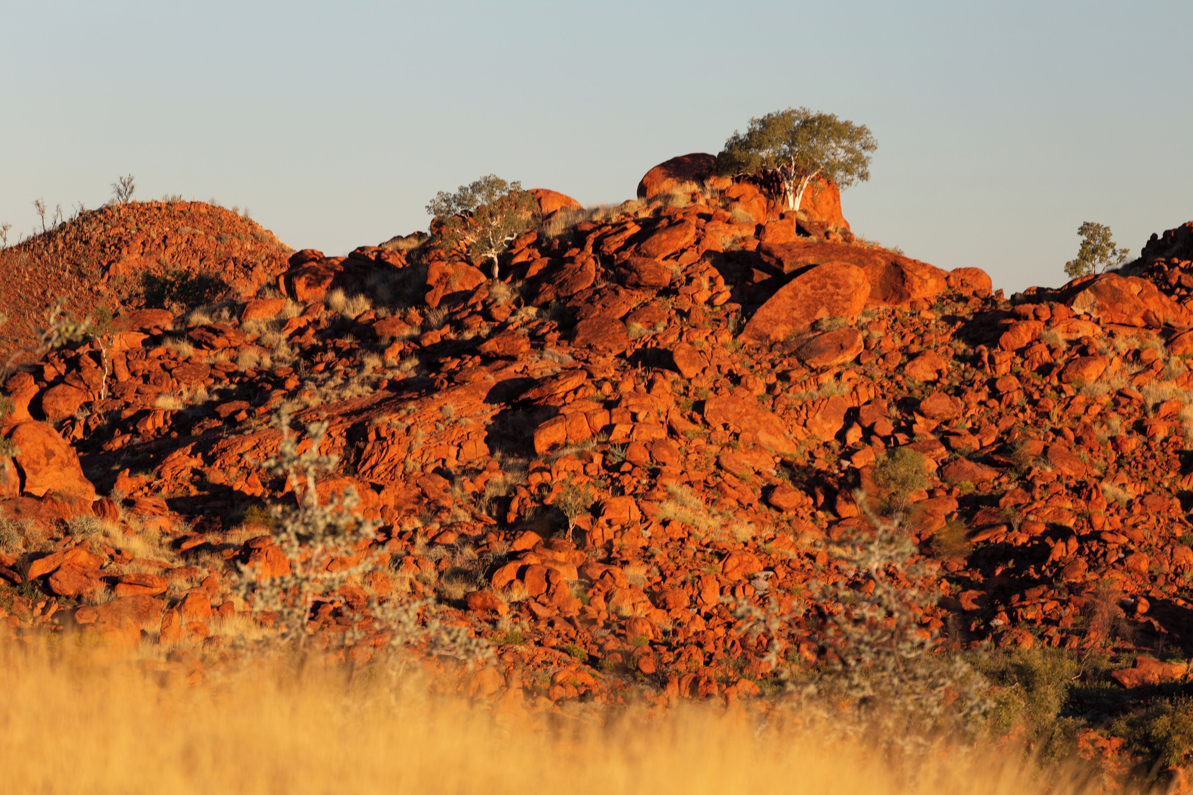 A rugged red rock landscape with sparse vegetation and a clear sky.