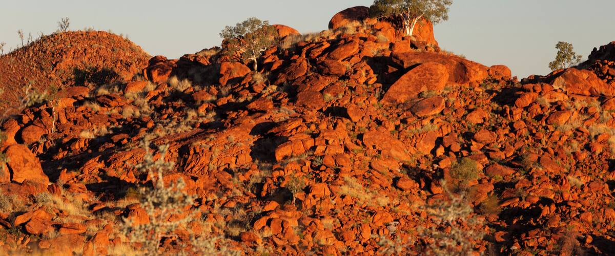 A rugged red rock landscape with sparse vegetation and a clear sky.