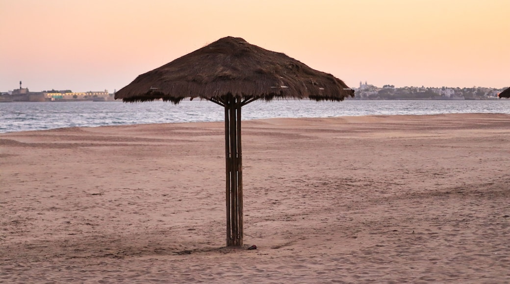 A beach with a thatched umbrella, sandy shore, and a distant cityscape.