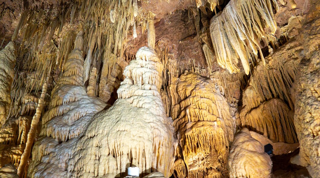 Landa Park Highlands