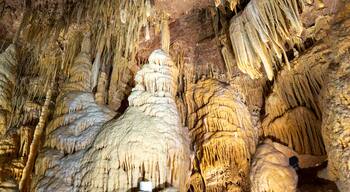 Landa Park Highlands