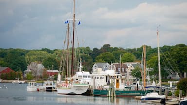 Mystic featuring a marina