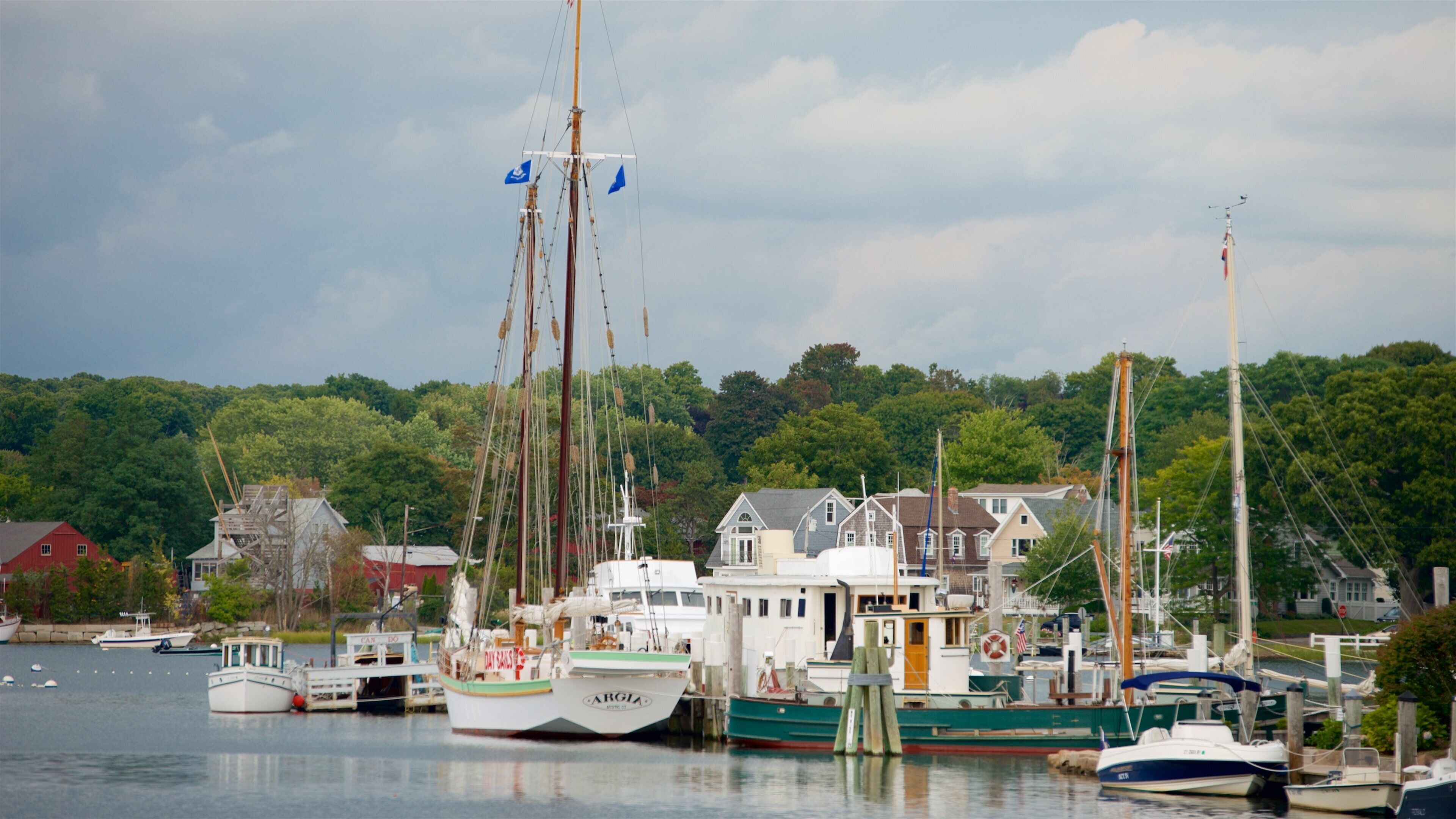 A marina with several boats docked, surrounded by houses and dense forest.