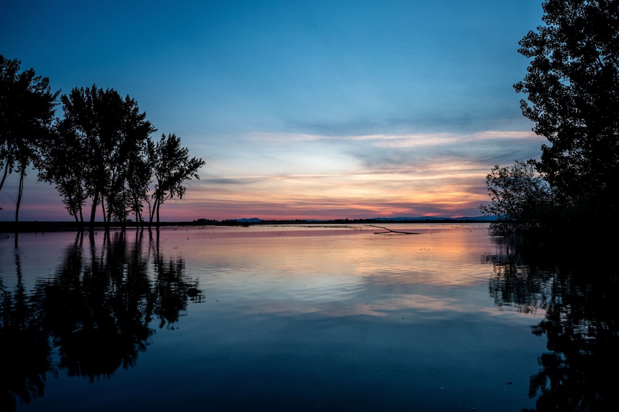 Trees reflect in the water sunrise Idaho Lake