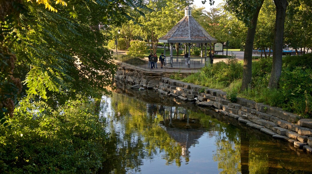Naperville showing a park and a river or creek