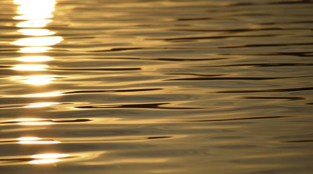 Even though it's "bad" to have an area in your photo overexposed, I love how the water resembles liquid gold in this picture. #BvSApplication