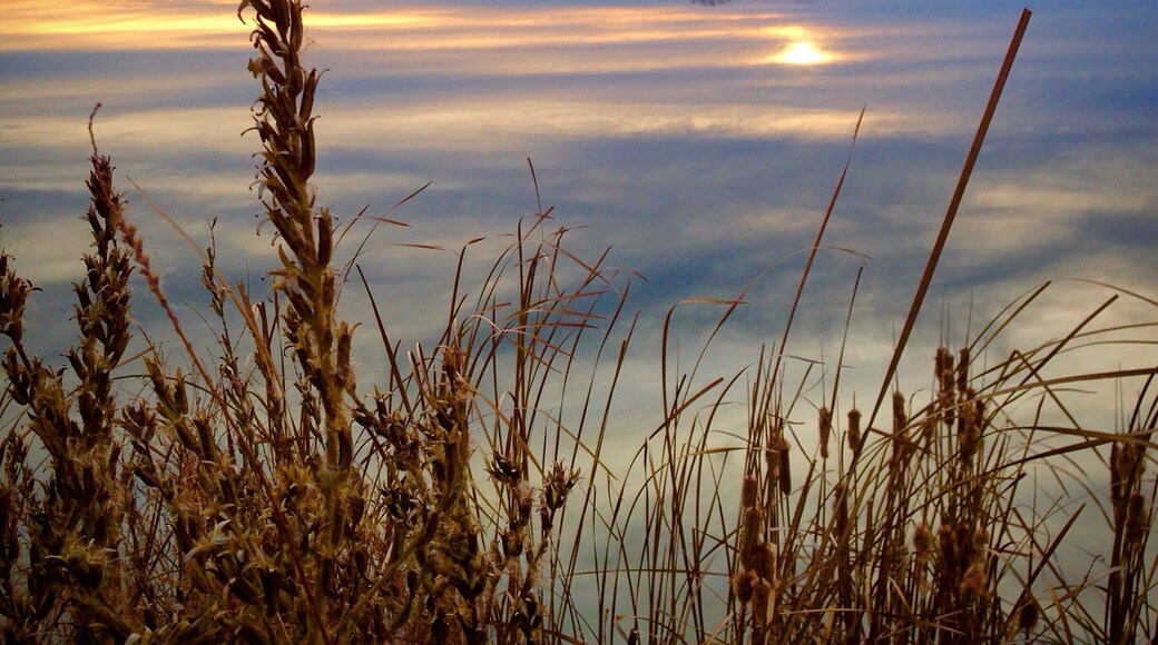 Winter sunset in Columbia, Mo.